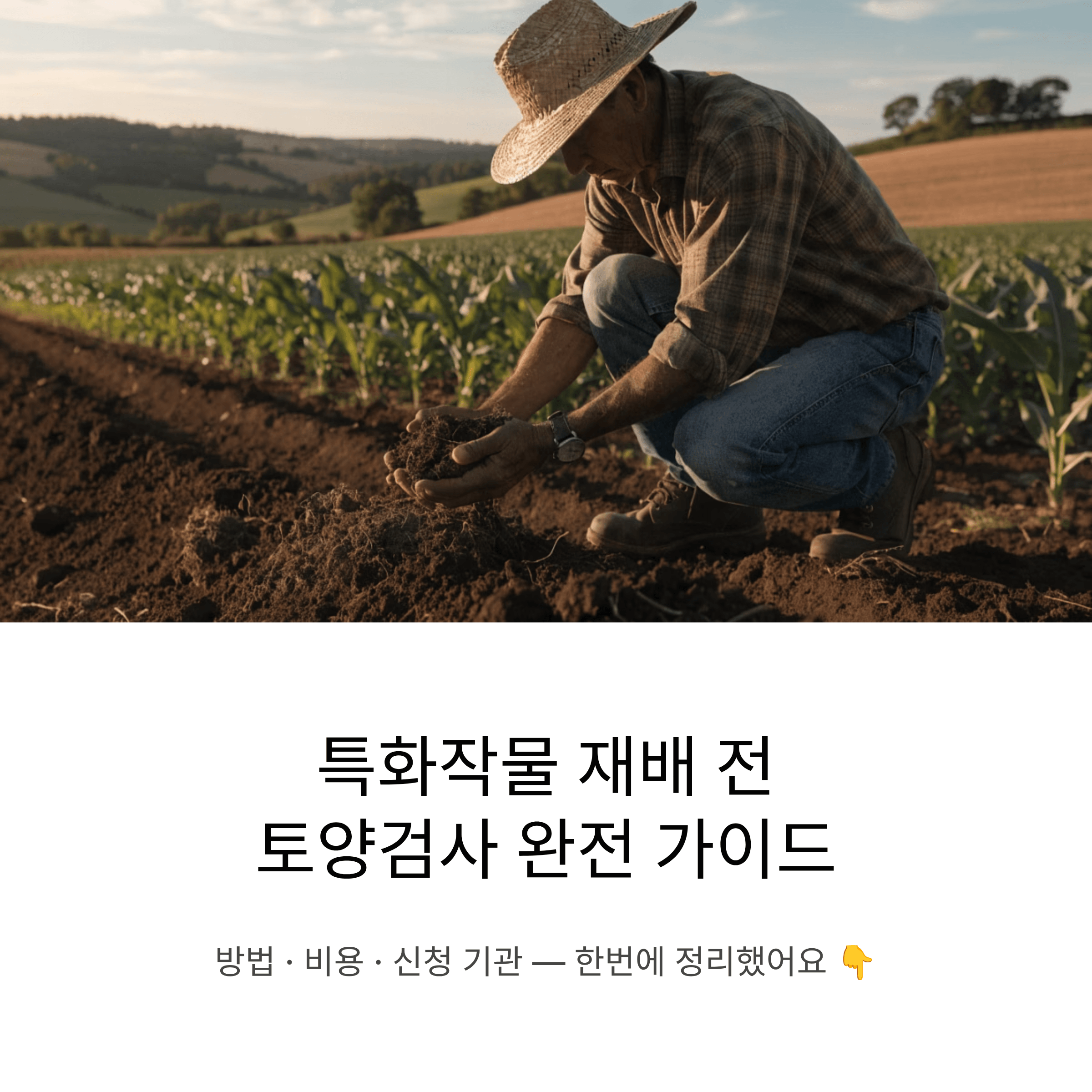 특화작물 재배 토양검사, 어디서 어떻게 받는지 비용까지 총정리