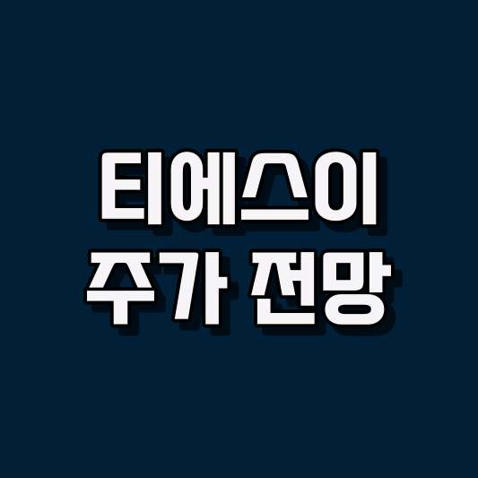 티에스이 주가 전망