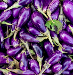 가지 효능 놀라운 9가지 부작용 고르는법 칼로리