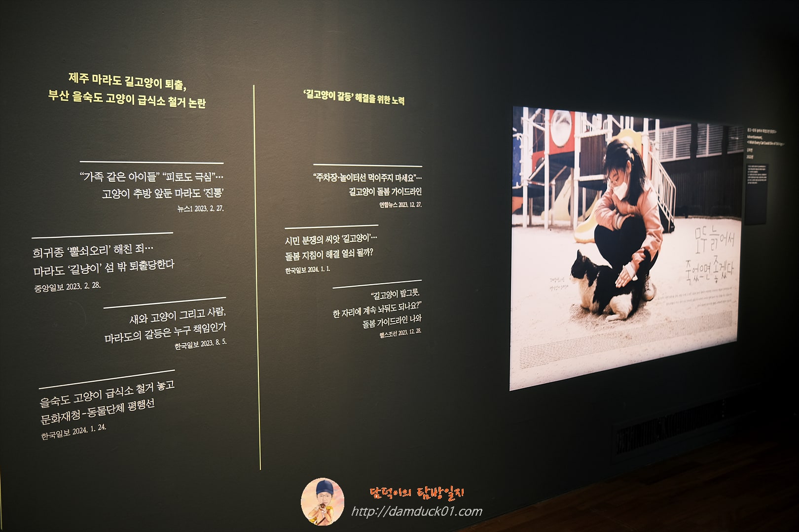 우리 동네 고양이