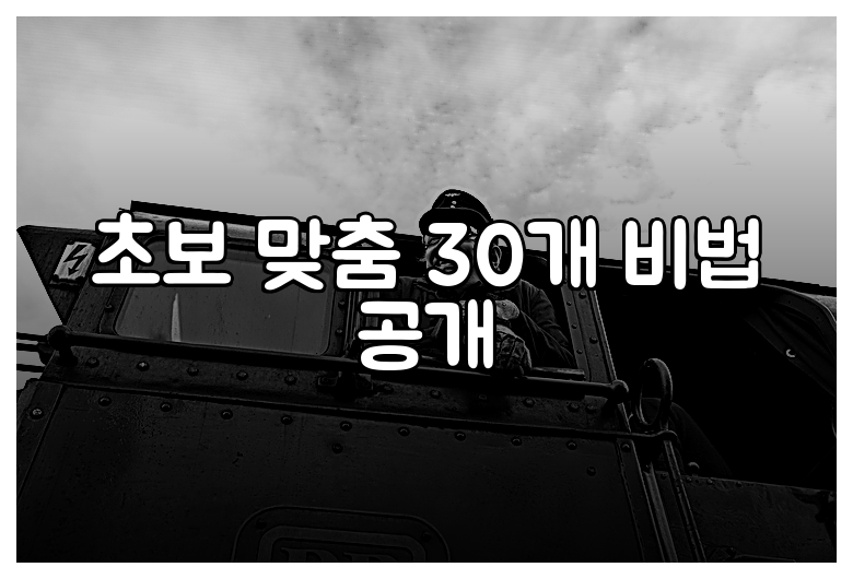 초보 맞춤 30개 비법 공개