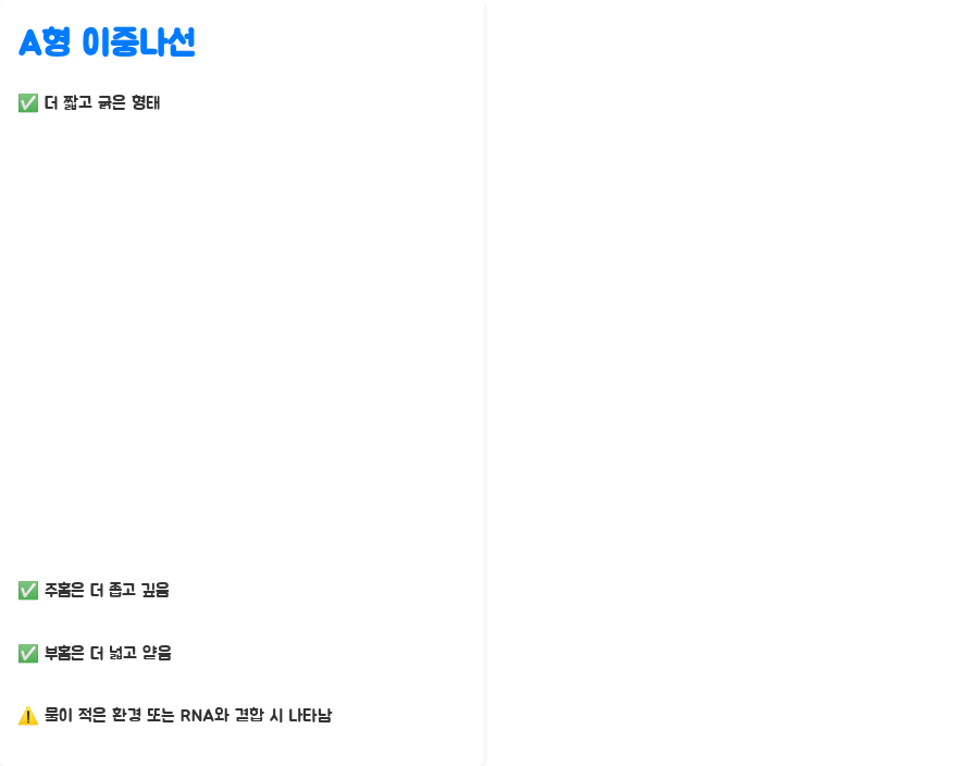 DNA 이중나선 구조, 왜 이렇게 안정적일까요? 분자생물학의 놀라운 비밀! - DNA 이중나선 구조의 다양한 형태와 안정성 - A형 이중나선: DNA의 또 다른 형태