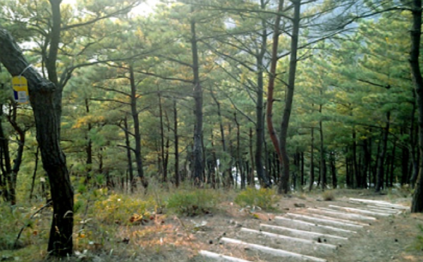 영덕 블루로드