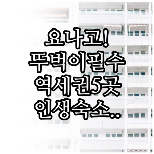 요나고 자유여행 숙소 추천 뚜벅이 여..