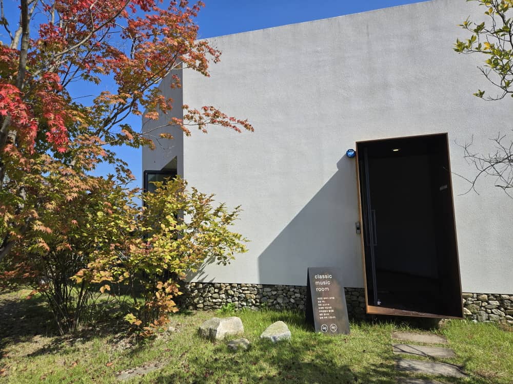 가평 나무아래오후