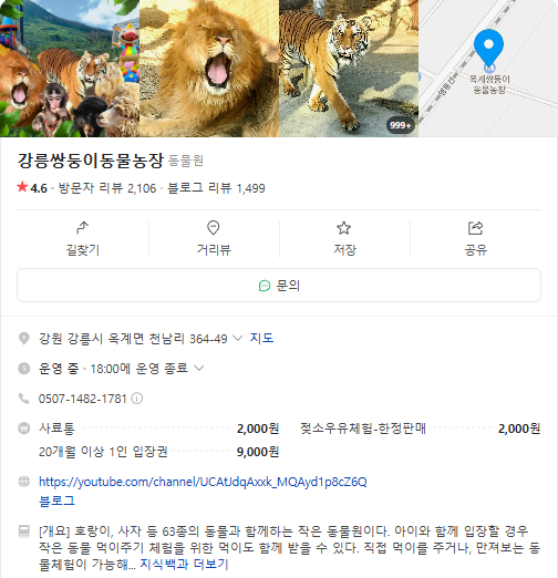 생방송투데이 동물농장 강릉