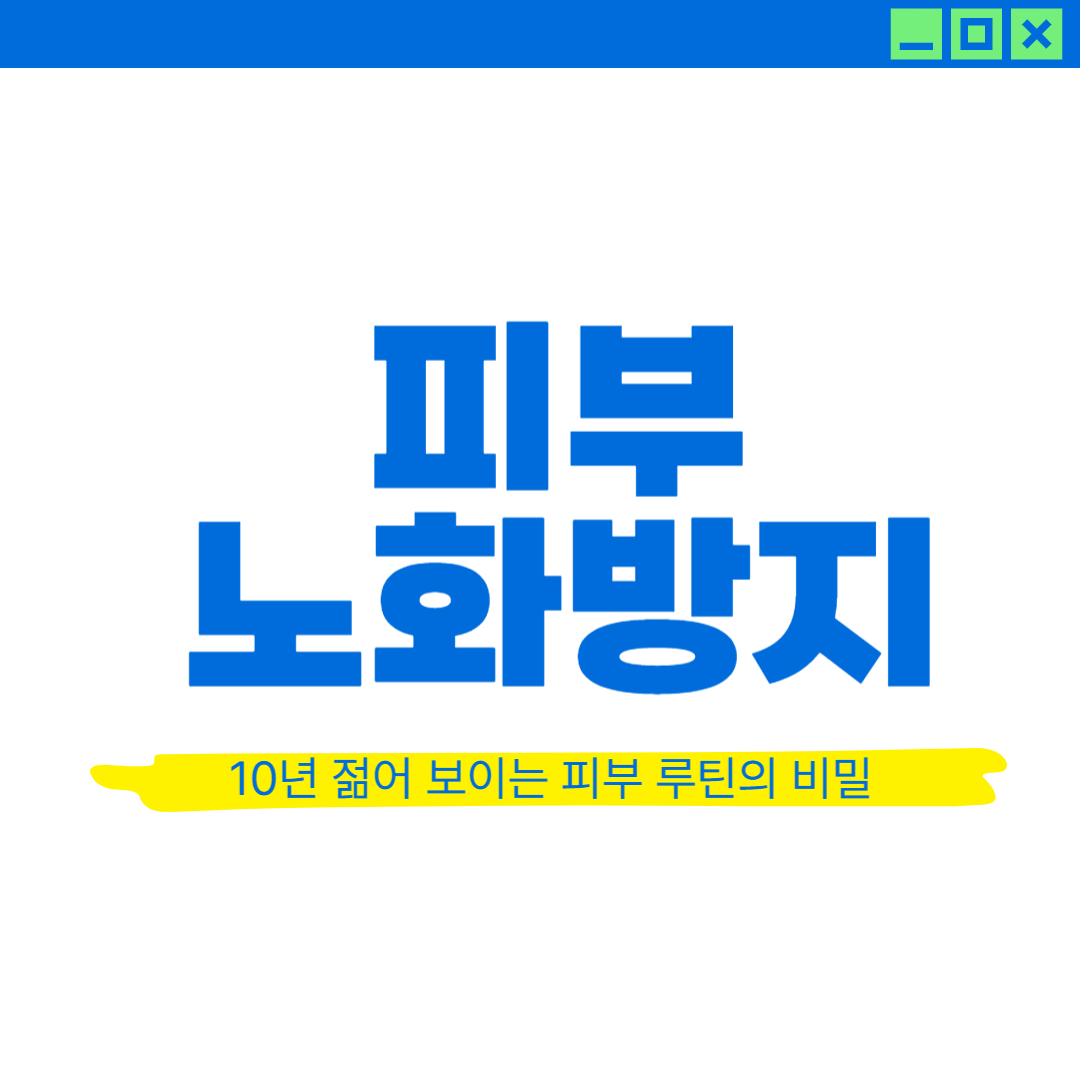 피부 노화 방지