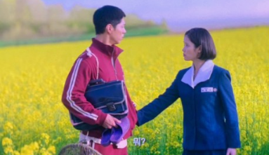 폭삭속았수다 유채꽃밭 촬영지