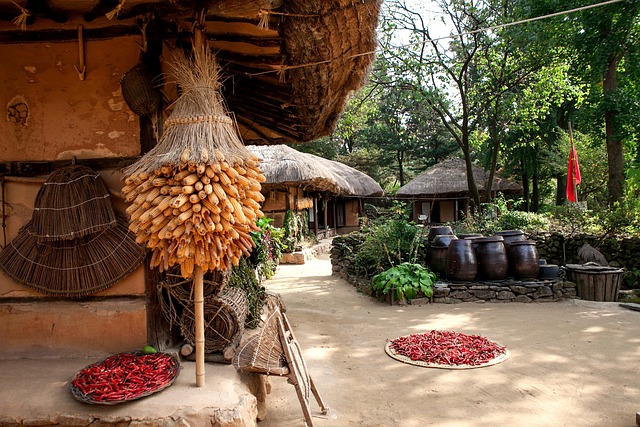 2025 동해 무릉제&amp;#44; 색(色)다른 동해에서 펼쳐지는 팔레트 페스티벌! 