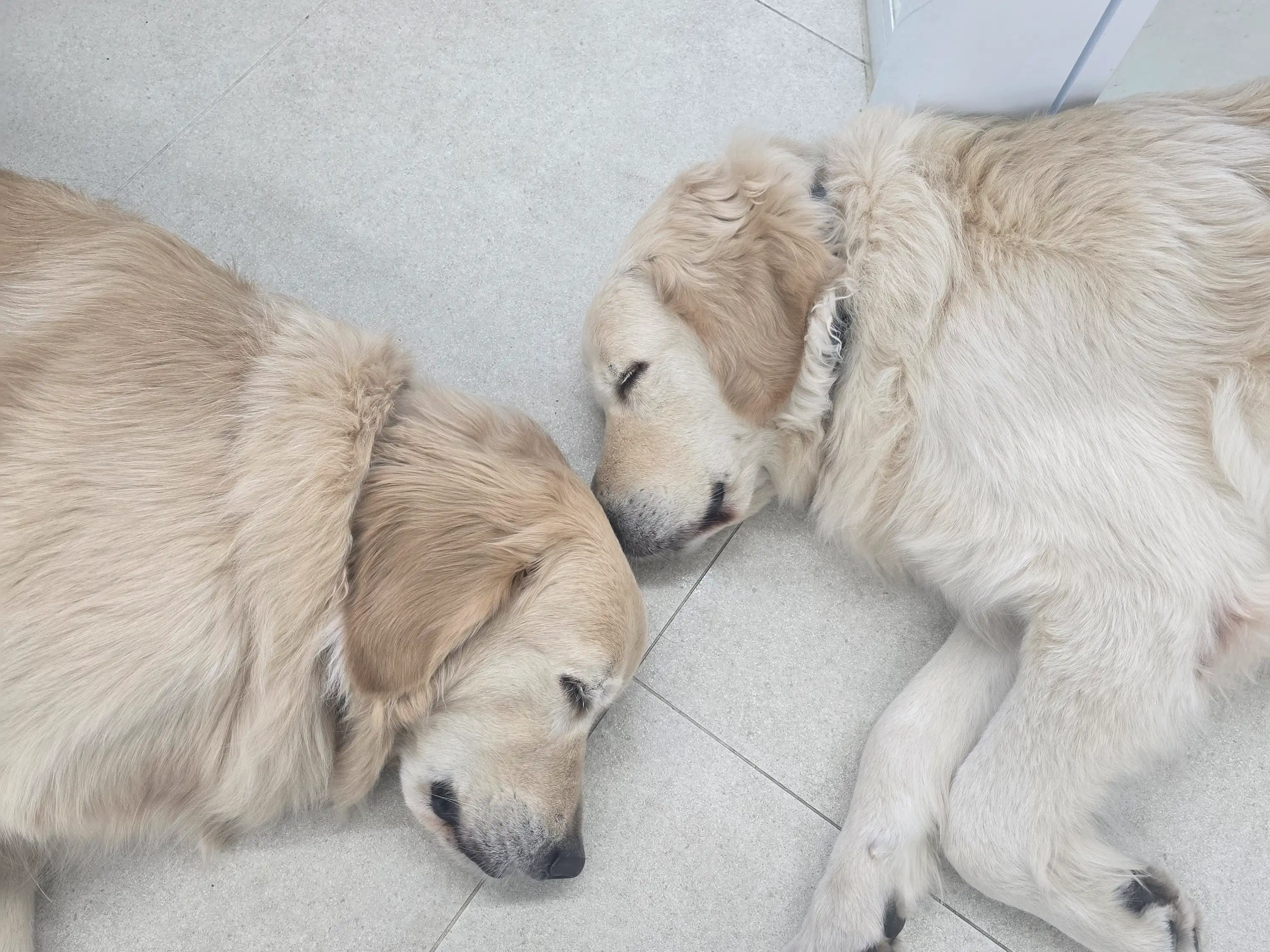 평화로운 뭉스벨리