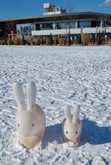 세종 국립 수목원