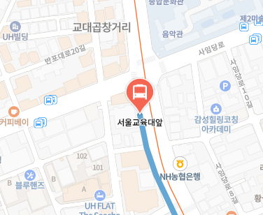 서울교육대앞에서 인천공항 리무진 공항버스(6016번) 지도 위치