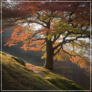 2025년 단풍 절정 시기 &ndash; 수도권&middot;충청권 단풍 명소 가상 이미지