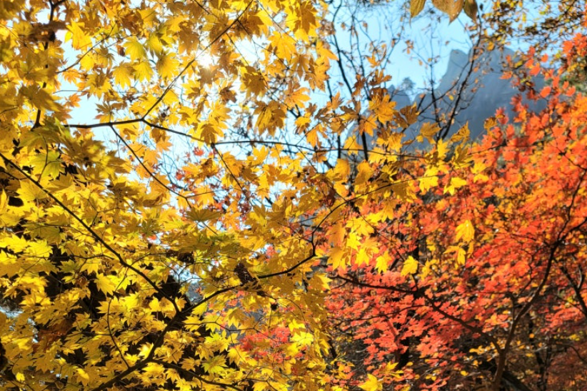 북한산국립공원