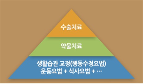 비만 치료