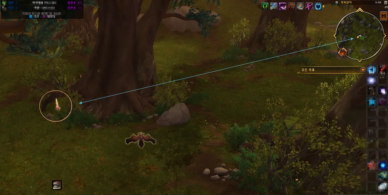 시야 확인 범위