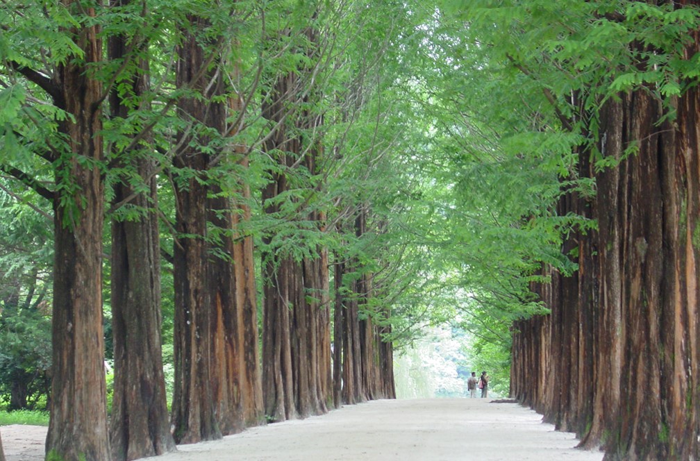 춘천 여행(1)