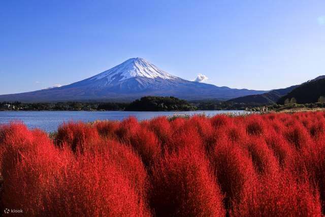 아이랑 일본 소도시 시즈오카 여행 2박 3일코스