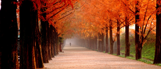 국내여행 한국의 아름다운 여행지