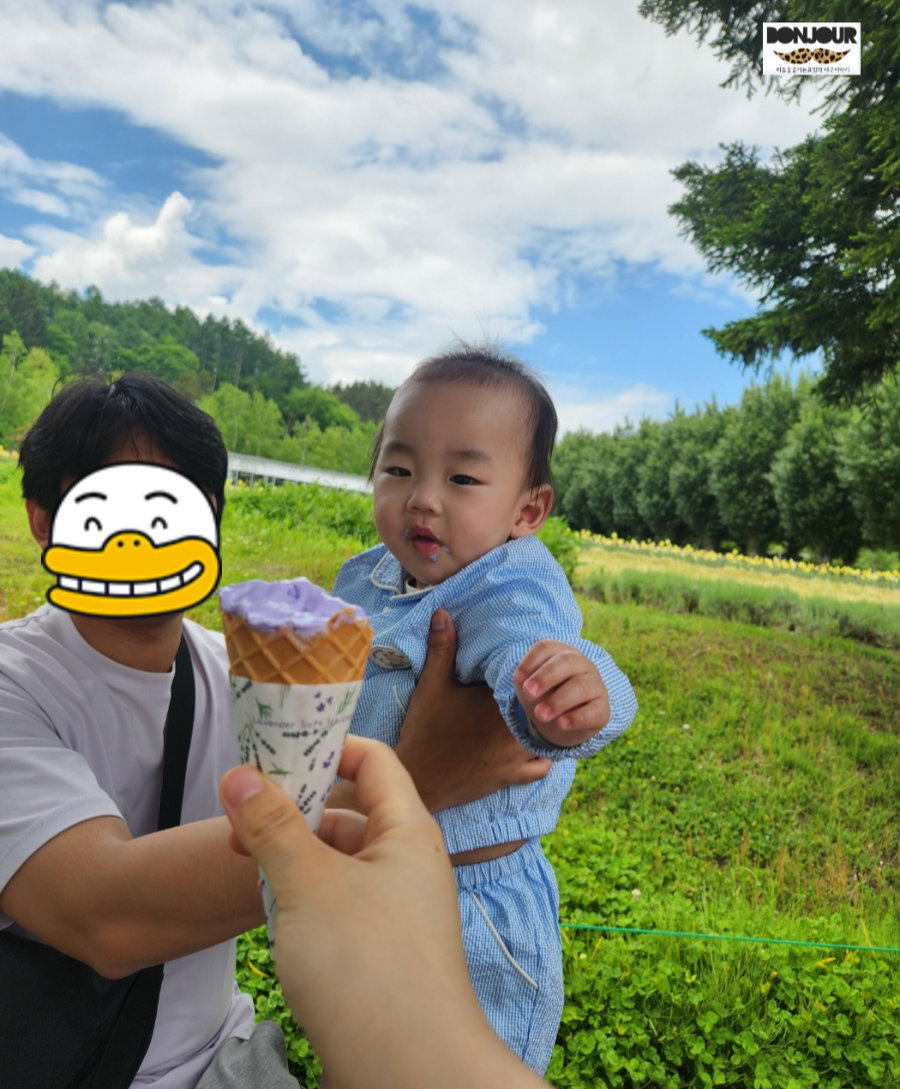 팜토미타 라벤더밭 앞에서 유모차와 함께한 가족 산책 모습