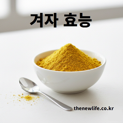 갈아 만든 겨자분 실물 사진 – 소화 촉진과 항염 작용을 돕는 겨자 효능의 주요 형태