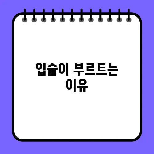 입술이 부르트는 이유