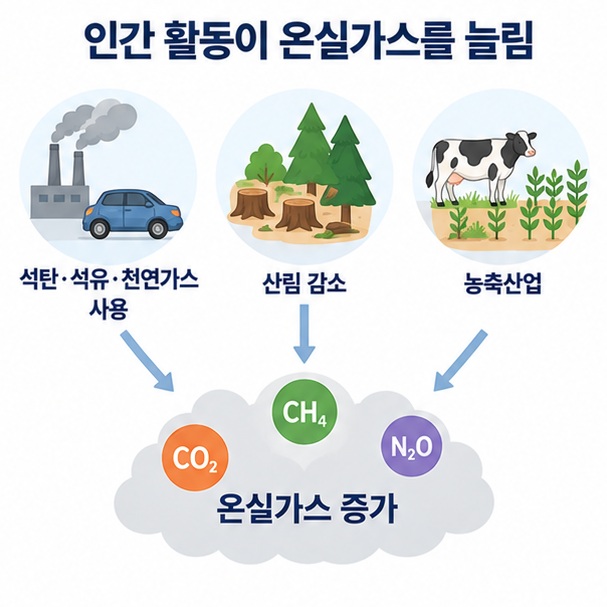 발전소와 자동차의 화석연료 사용, 산림 감소가 대기 중 이산화탄소 증가로 이어지는 모습을 보여주는 이미지