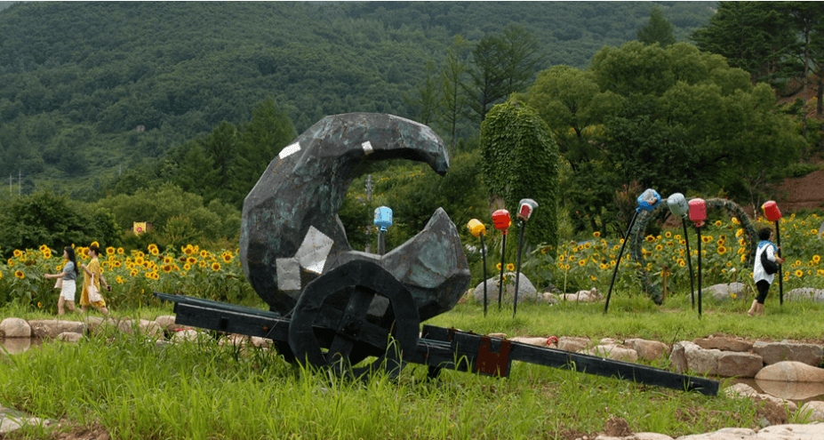 태백 해바라기 축제 볼거리, 입장료, 주차, 맛집 총정리
