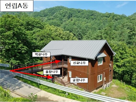 중미산자연휴양림 연립동