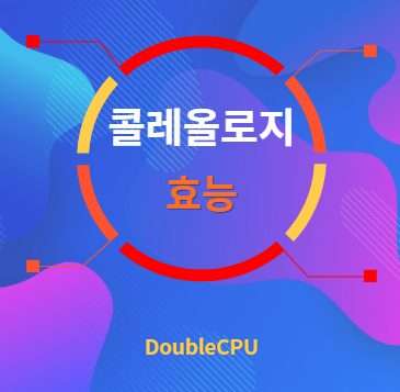 콜레올로지 효능 탐구