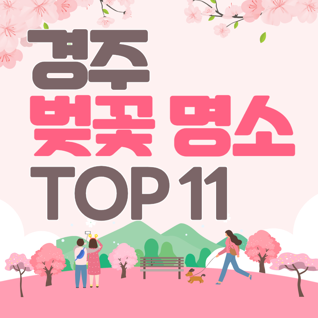 경주 벚꽃 명소