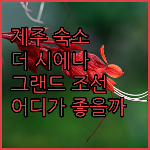 제주 여행 프리미엄 숙소 더 시에나 