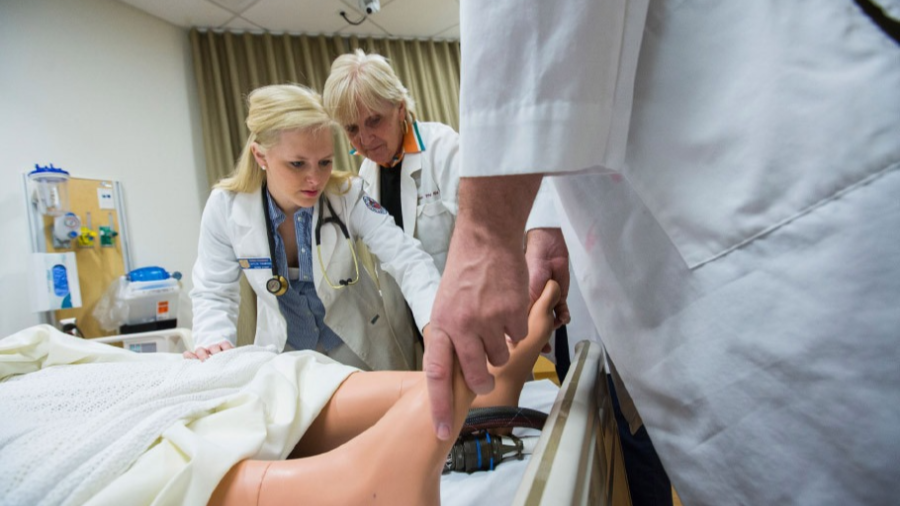 2025년 간호학과 완벽 가이드