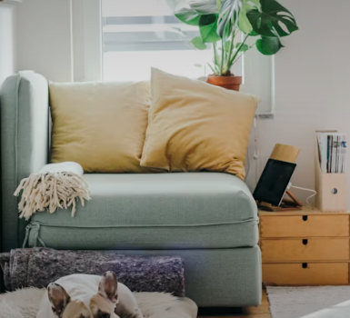 고시원 창업에 대하여 알아보기