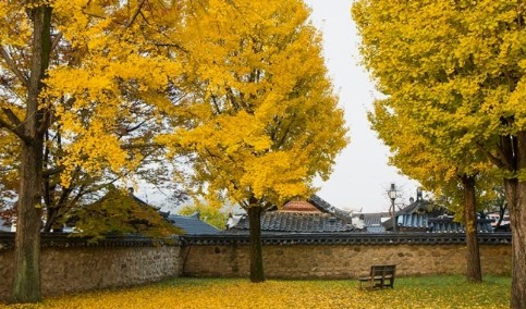 11월 국내여행지 베스트10. 전주 한옥마을 (전북 전주시)