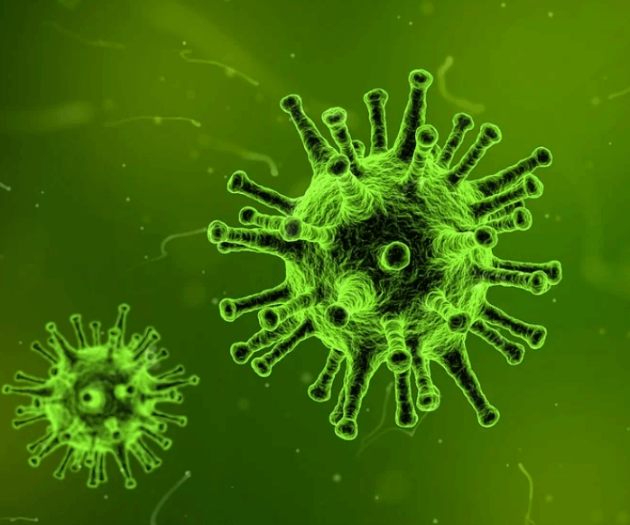 혈류 순환 효율이 연료 전환 속도에 미치는 영향, 알고 나면 달라지는 몸의 변화