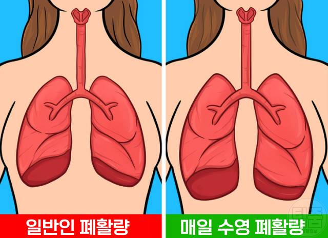 수영 30분 매일 수영효과 수영효능 폐활량