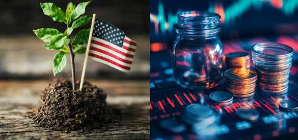 가치주와 성장주를 비교, 미국 시가총액 상위 기업