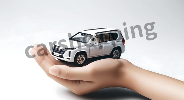 자동차 1일보험 가격