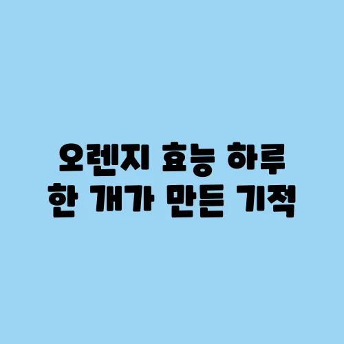 오렌지 효능 하루 한 개가 만든 기적