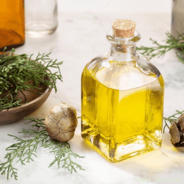 사이프러스 (Cypress), 사이프러스 오일