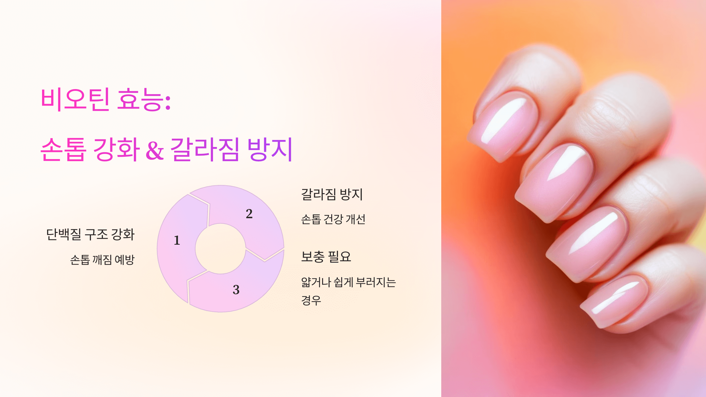 비오틴과 관련된 사진입니다.