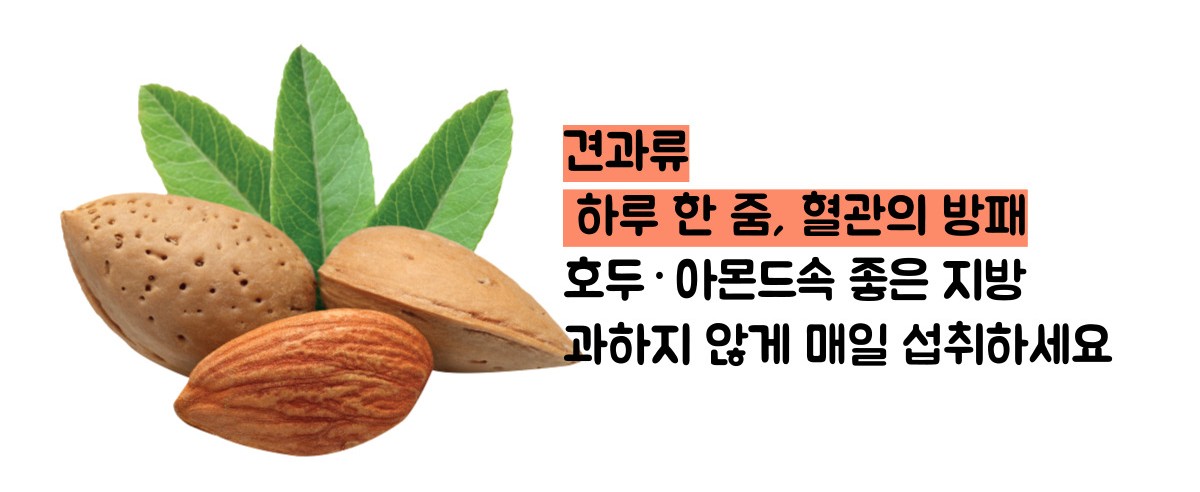 고지혈증에 좋은 음식