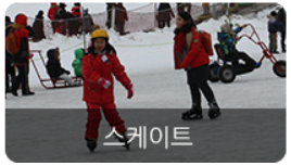 평창송어축제-비용