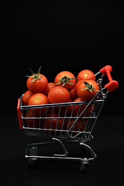 코스트코트레이더스