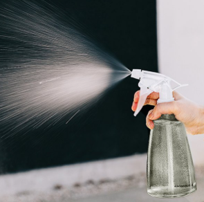 러브버그 퇴치 및 예방법