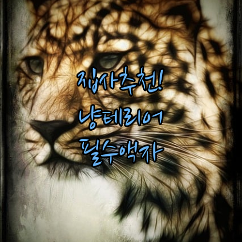 집사들이 추천하는 고양이 인테리어 액..