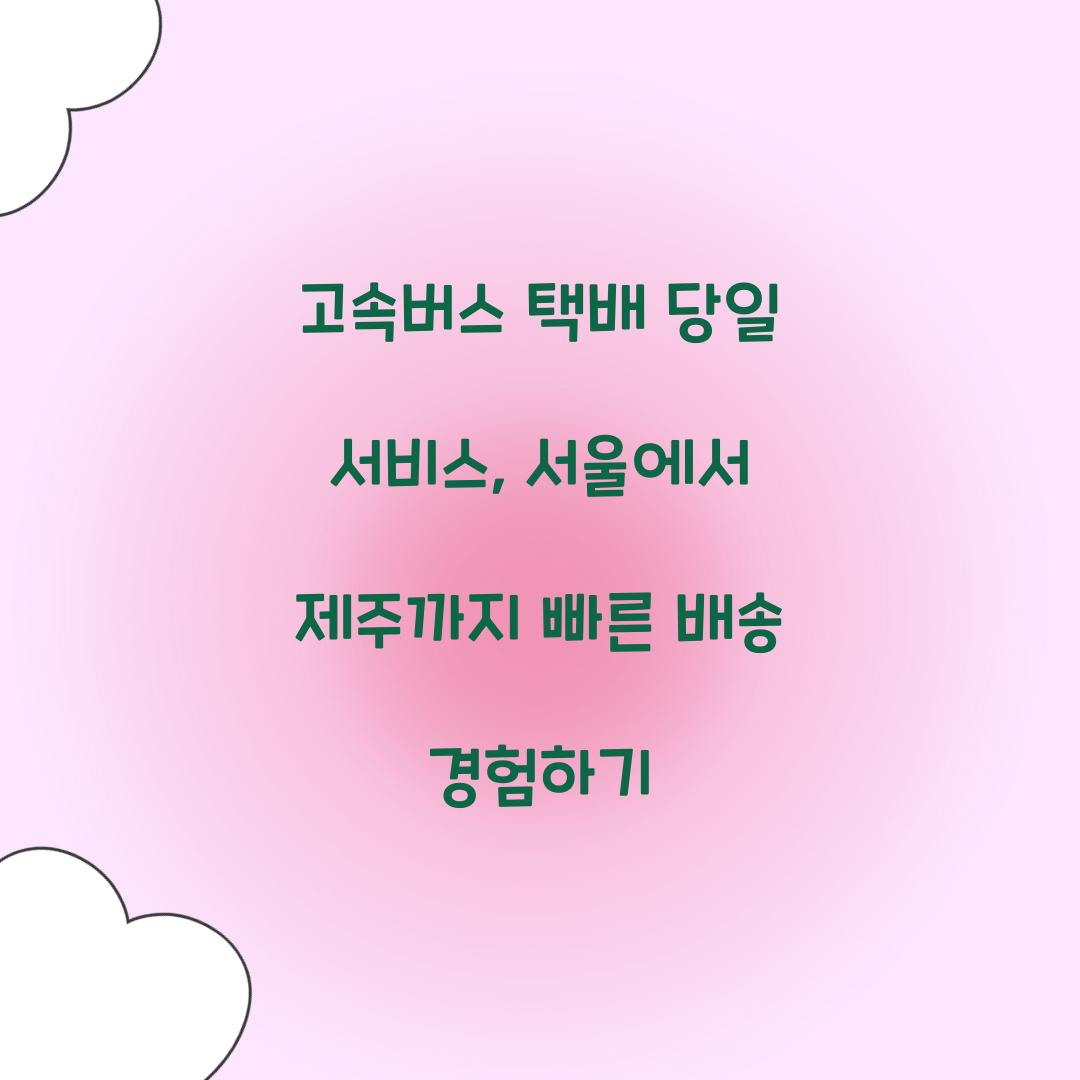고속버스 택배 당일 서비스