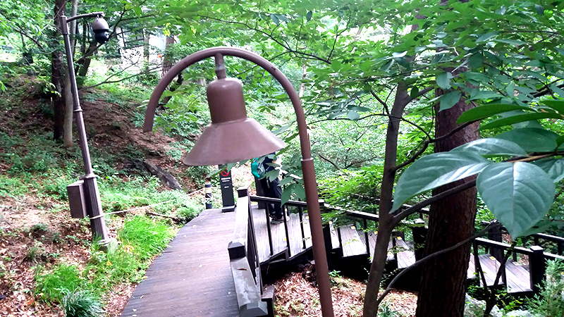 청와대 관람예약