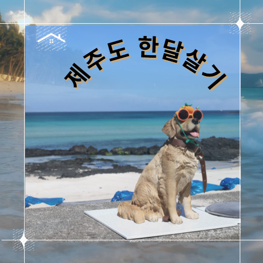 제주도 한달살기